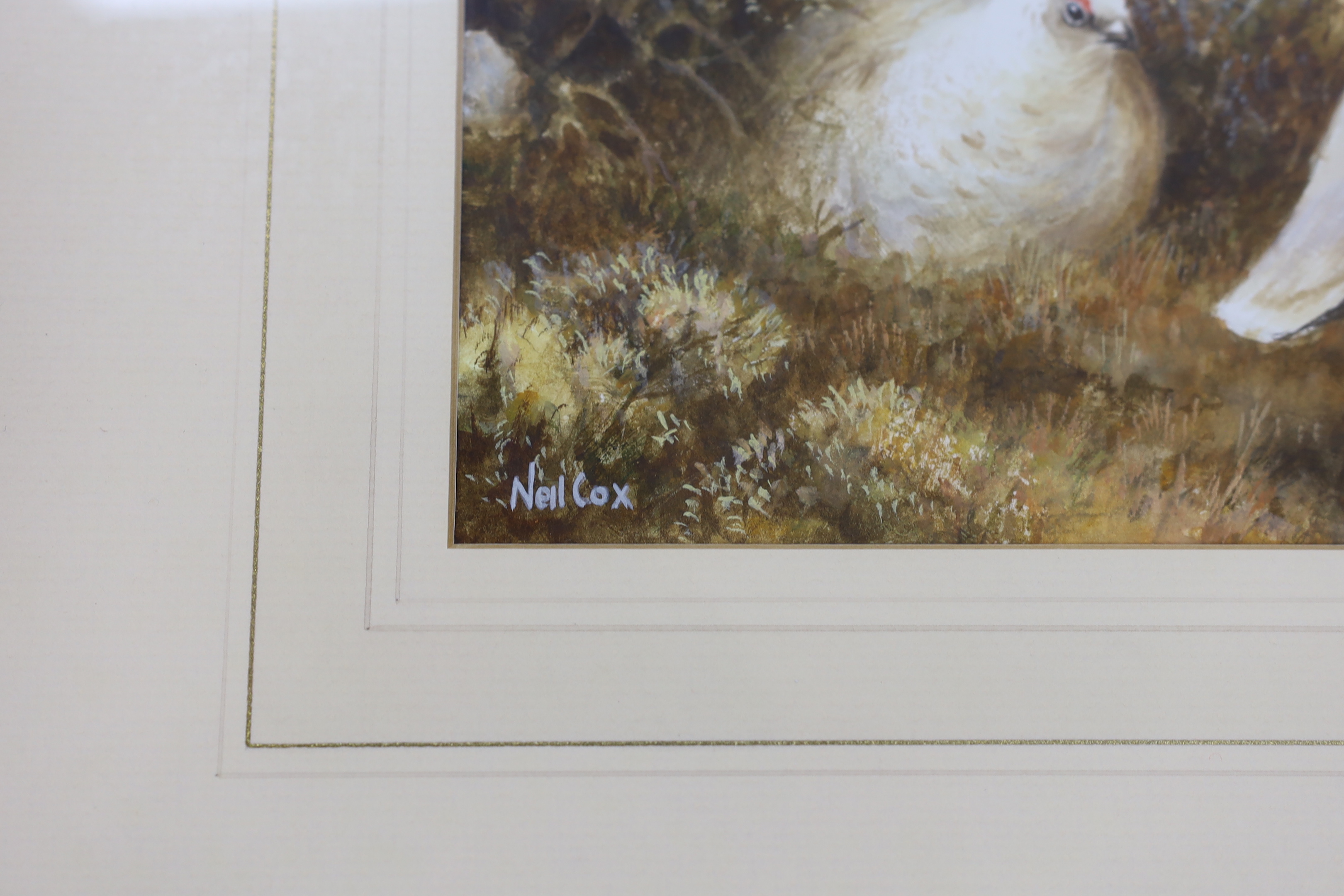 Neil Cox (b. 1955), watercolour, Ptarmigan, signed, 32 x 52cm